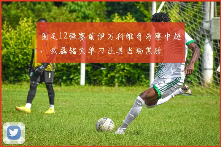 国足12强赛前伊万科维奇考察中超,武磊错失单刀让其当场黑脸