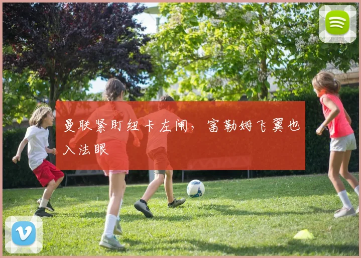 曼联紧盯纽卡左闸，富勒姆飞翼也入法眼